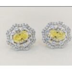 Multicolor Drop Earrings – CE013