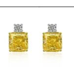 Champagne Yellow Drop Earrings – CE041