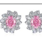Multicolor Drop Earrings – CE059