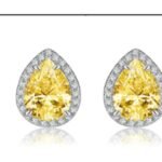 Champagne Yellow Drop Earrings – CE068