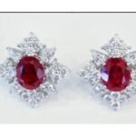 Multicolor Drop Earrings – CE087