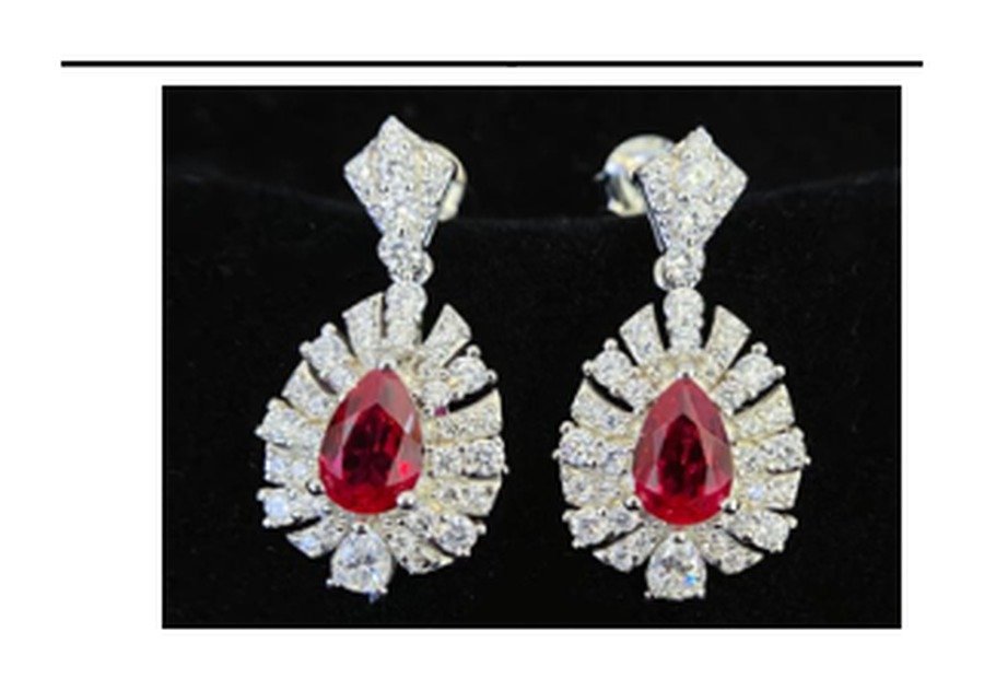 Multicolor Drop Earrings – CE097
