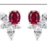 Multicolor Drop Earrings – CE105
