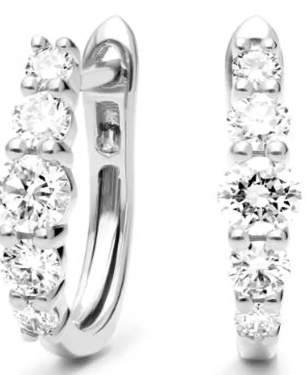 Daylight Moissanite Earrings – JE065