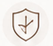Durable moissanite ring icon