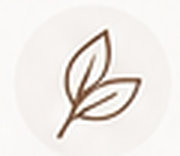Ethical choice moissanite jewelry icon